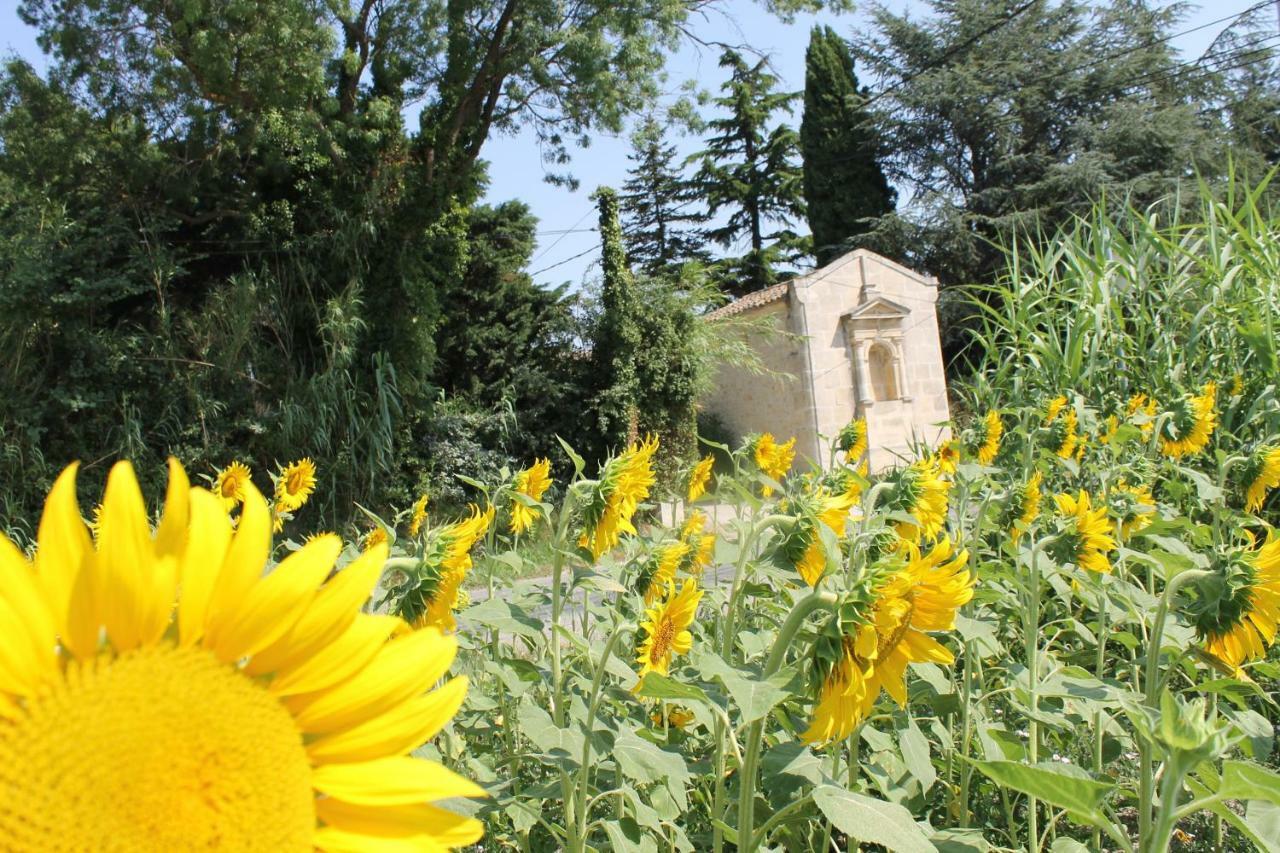 Mas De La Chapelle Sainte-Elisabeth Villa Tarascon Buitenkant foto