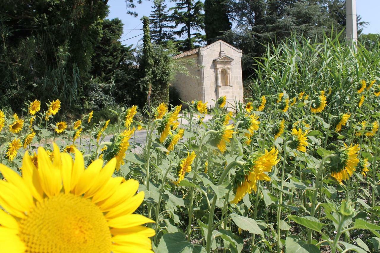Mas De La Chapelle Sainte-Elisabeth Villa Tarascon Buitenkant foto